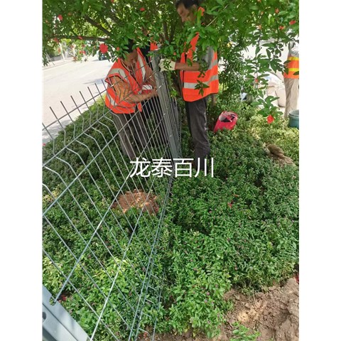 公路護(hù)欄網(wǎng)的安裝方法