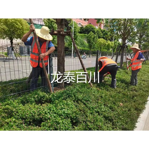 鐵路護(hù)欄網(wǎng)施工時(shí)應(yīng)注意的問(wèn)題