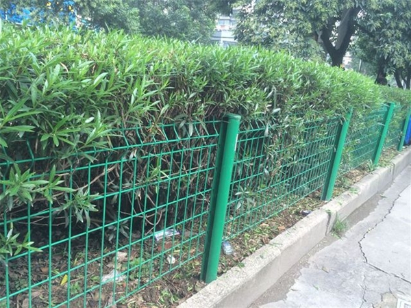 市政花壇護(hù)欄網(wǎng)