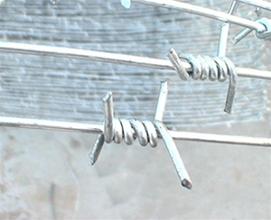 刺網(wǎng)