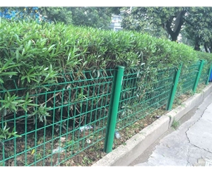 市政花壇護(hù)欄網(wǎng)